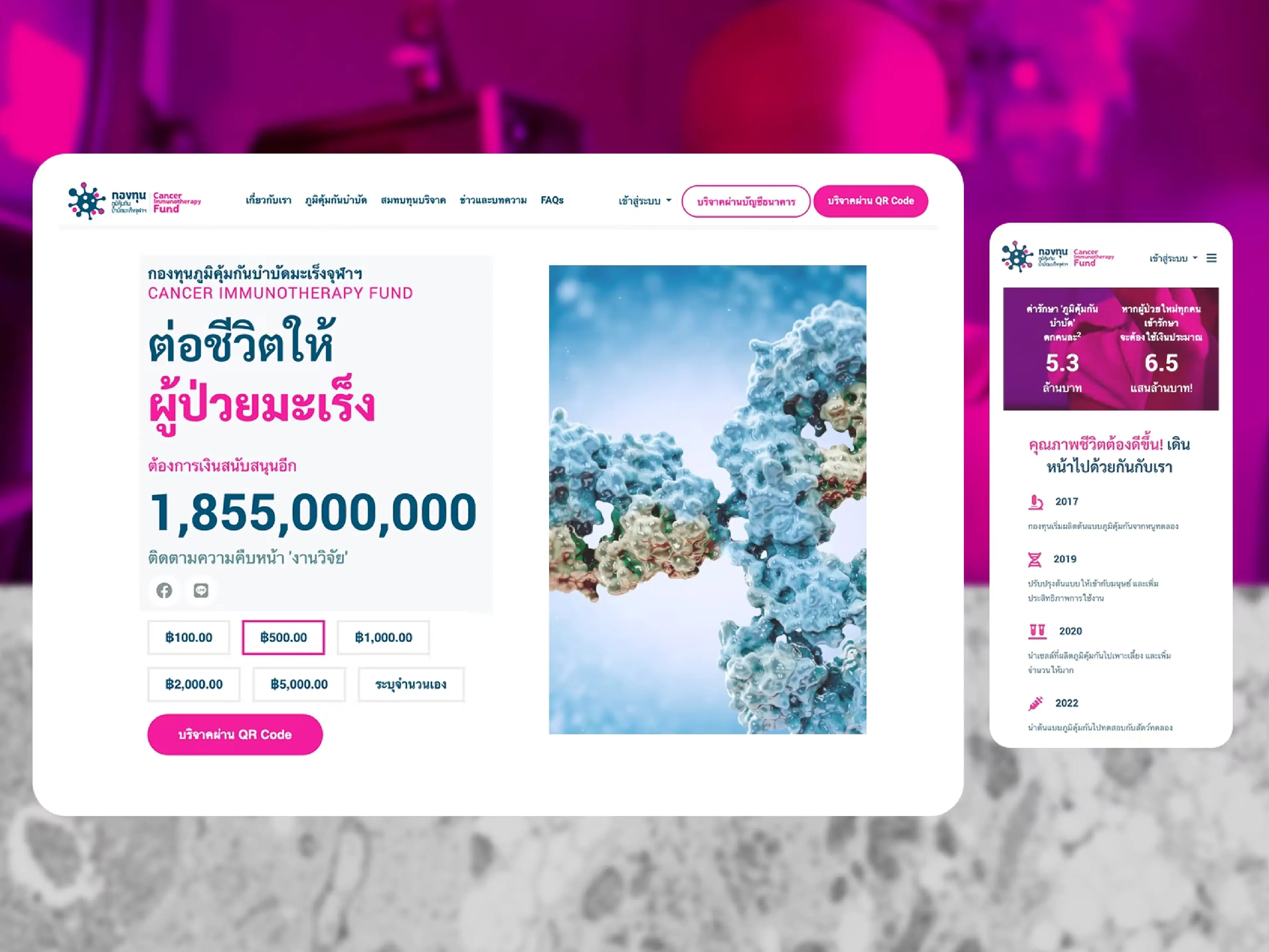 Cancer Immunotherapy Fund